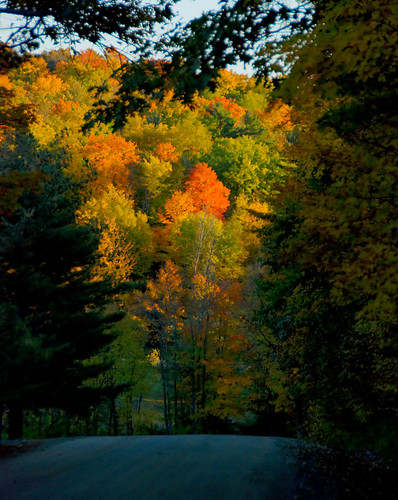 fall along the road by paul+photos=moody.
