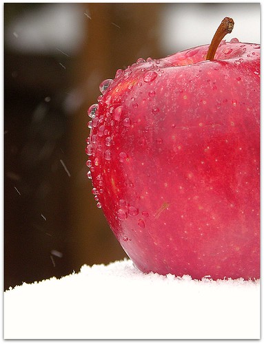 We're apple-deep in snow!