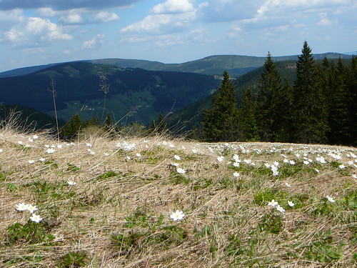 Riesengebirge 2008 (79)