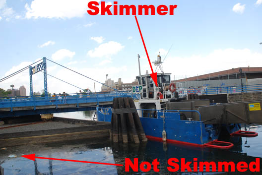 Skimmer-Not Skimmed