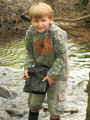 Thomas in the stream