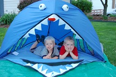 shark tent1