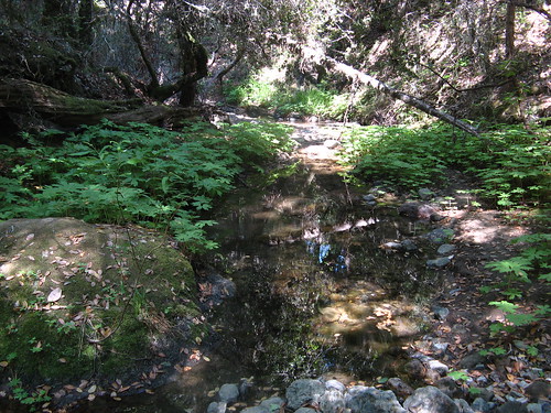 Stevens Creek Nature Trail