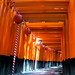Torii passage - Fushimi Inari
