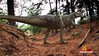 Dromaesosaurus attack