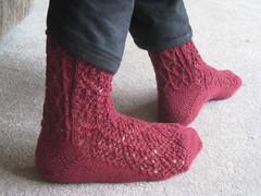 Rose Trellis socks