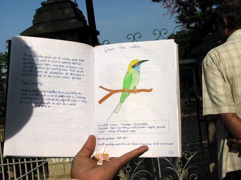 Abhijna's bird notebook