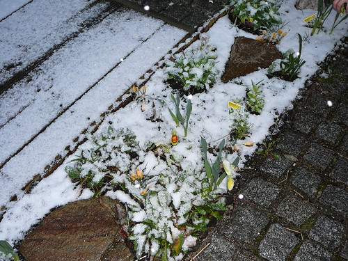 winterlicher Ostersonntag 2008 (01)