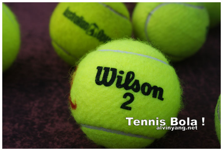 Tennis Ball