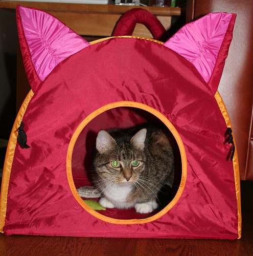 Who'd have thunk the evil cat-hut would be such a hit?