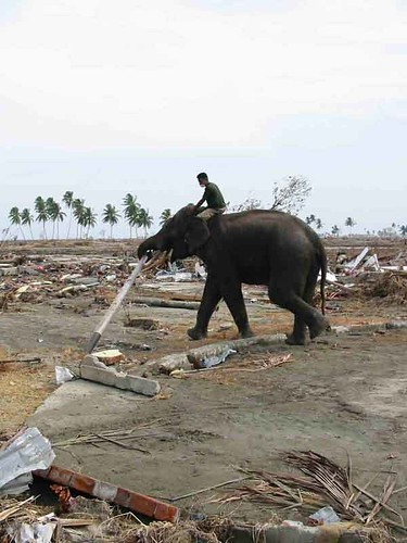 indonesia tsunami 2004 pictures. Tsunami 2004: Aceh, Indonesia
