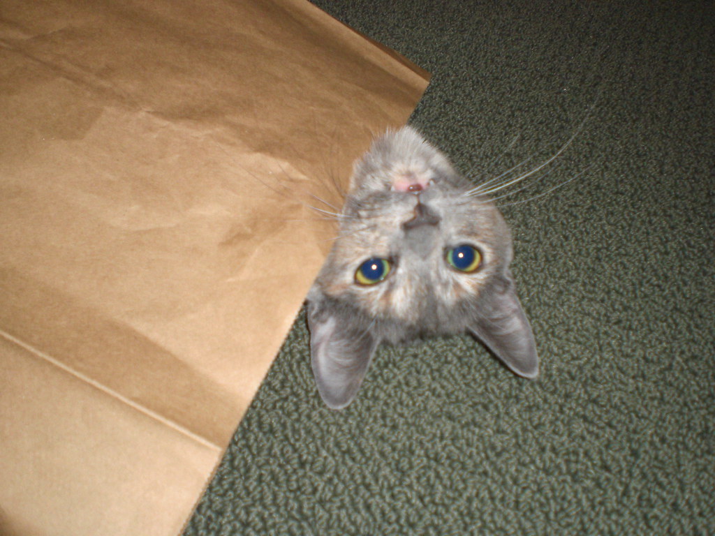 Paper bag monster!