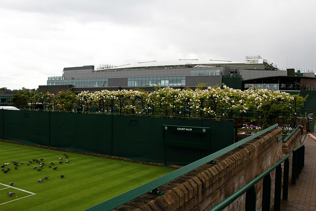 Wimbledon Court 19