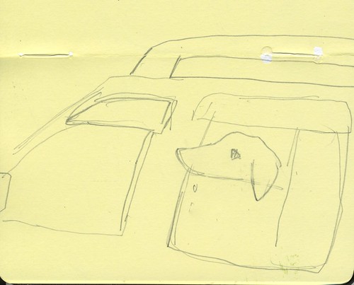 dog in car by Bricoleur's Daughter