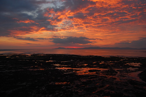 Sunset Low tide