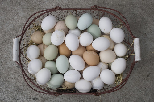 eggs of many colors by woodleywonderworks 