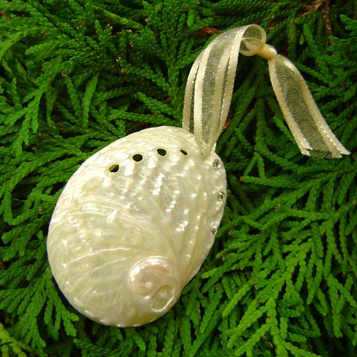 Pearl Abalone Ornament