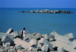以離岸堤保護的海岸；圖片提供：林俊全 