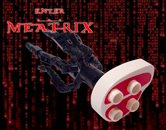 Enter the Meatrix