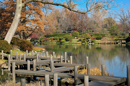 Missouri Botanical ("Shaw's") Garden, in Saint Louis, Missouri, USA - zig-zag bridge in Japanese Garden