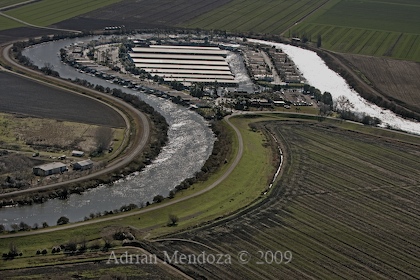 "Aerial Photo" "California Delta" Isleton "Georgiana Slough""Oxbow Marina"