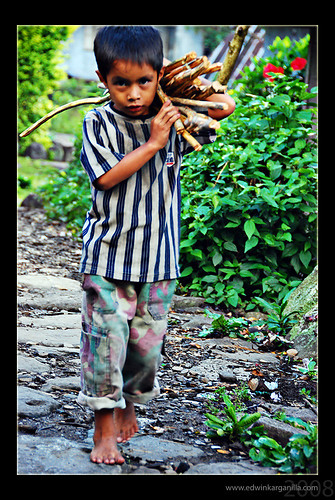 Cambulo, Banaue, Ifugao Province boy carrying firewood shoulder Pinoy Filipino Pilipino Buhay  people pictures photos life Philippinen  菲律宾  菲律賓  필리핀(공화국) Philippines    
