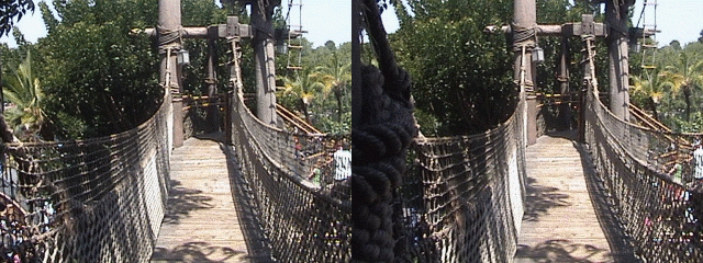 Full Size Tarzan Treehouse Ropebridge .gif animation, full size (1.1MB 1280x480) by DisneyWizard