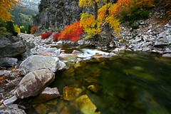 Nason Creek,  Stevens Pass, Washington by Keith Willits Photo