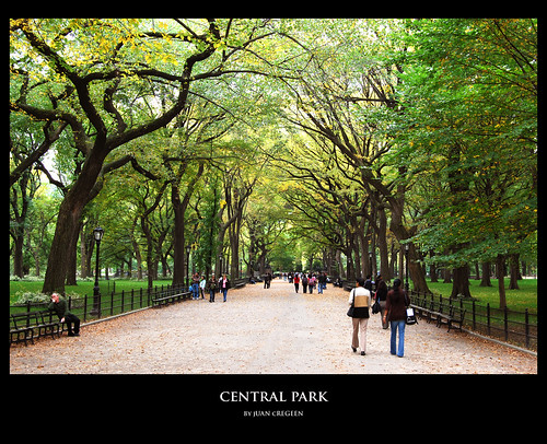 central park wallpaper. Central Park