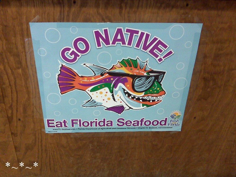 IMG00325-fish-in-sunglasses-sign