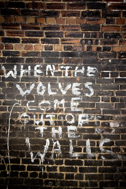 Wolves... (by Ben Cooper)