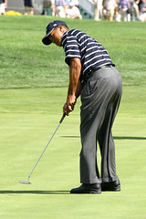 Tiger Woods  PGA Golf Professional