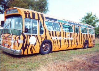 RTA # 890 "The Tiger Bus. The Midwest Transit Bus Museum. crest Hill Illinois. september 2000.