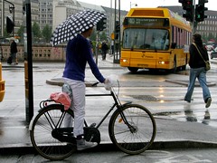 Copenhagen Rain