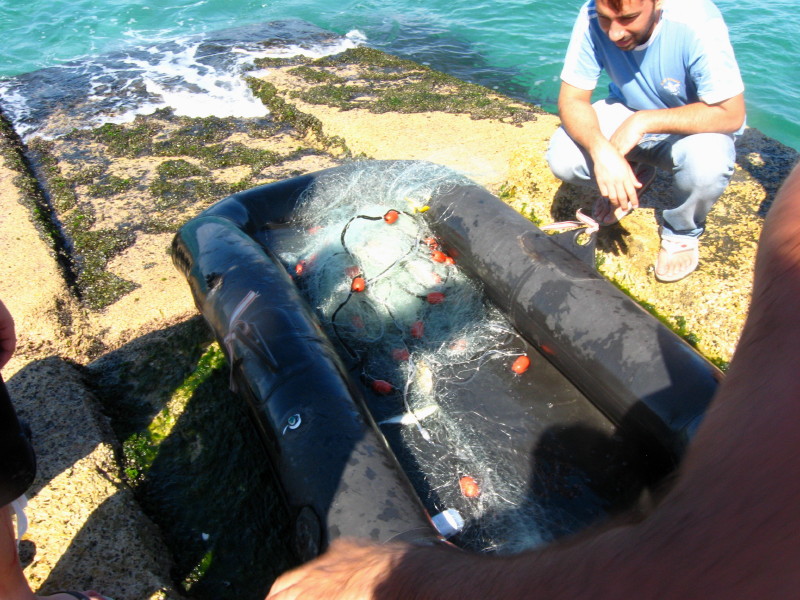 11-10-2008-netfishing