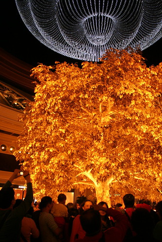 The golden tree and the chandelier