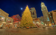 Faneuil Hall Christmas Tree 2008 by Shutterscript