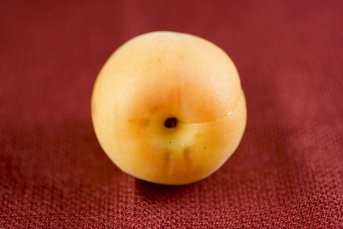 Apricot Plum