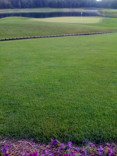 Hawk Hollow golf course!
