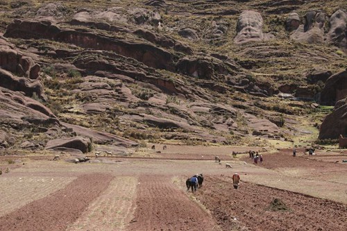 Peruvian farmers.