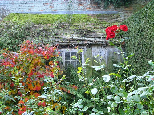 sissinghurst shed, autumn by A writer afoot.