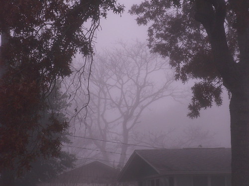 Framed Fog