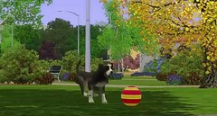 Sims 3 Pets 28