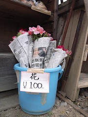 Flower, 100 yen