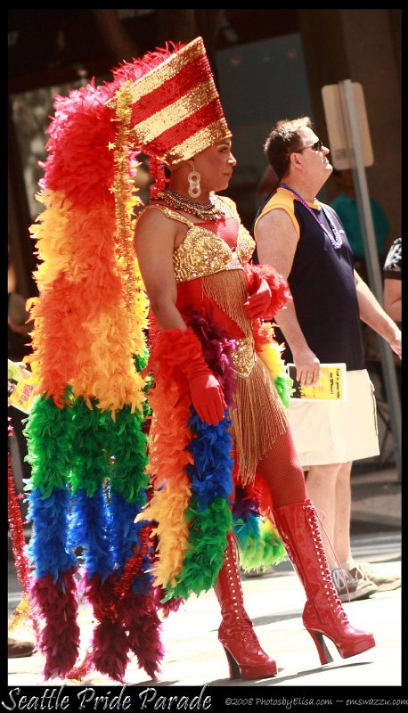 Seattle Pride Parade ~ 2008