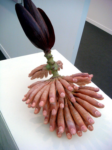 fingerplant