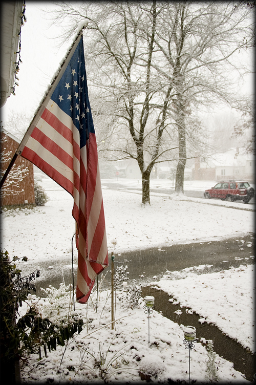snowy-flag