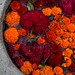 Flowers of Zemaptzuchil to celebrate the dead
