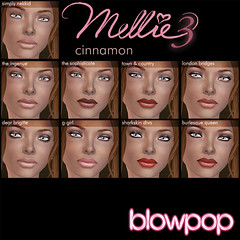Mellie3 Launch makeups-Cinnamon