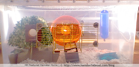 hammyhamsters' first DIY hamster bin